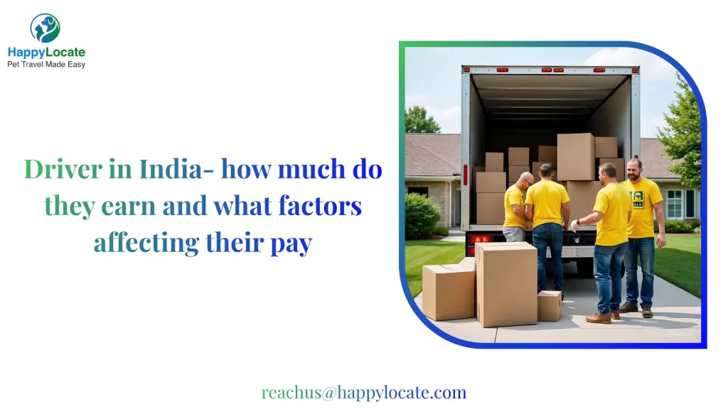 Driver in India- how much do they earn and what factors affecting their pay