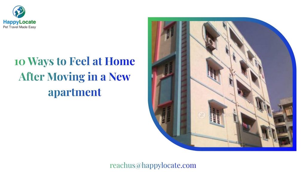 10 Ways to Feel at Home After Moving in a New apartment