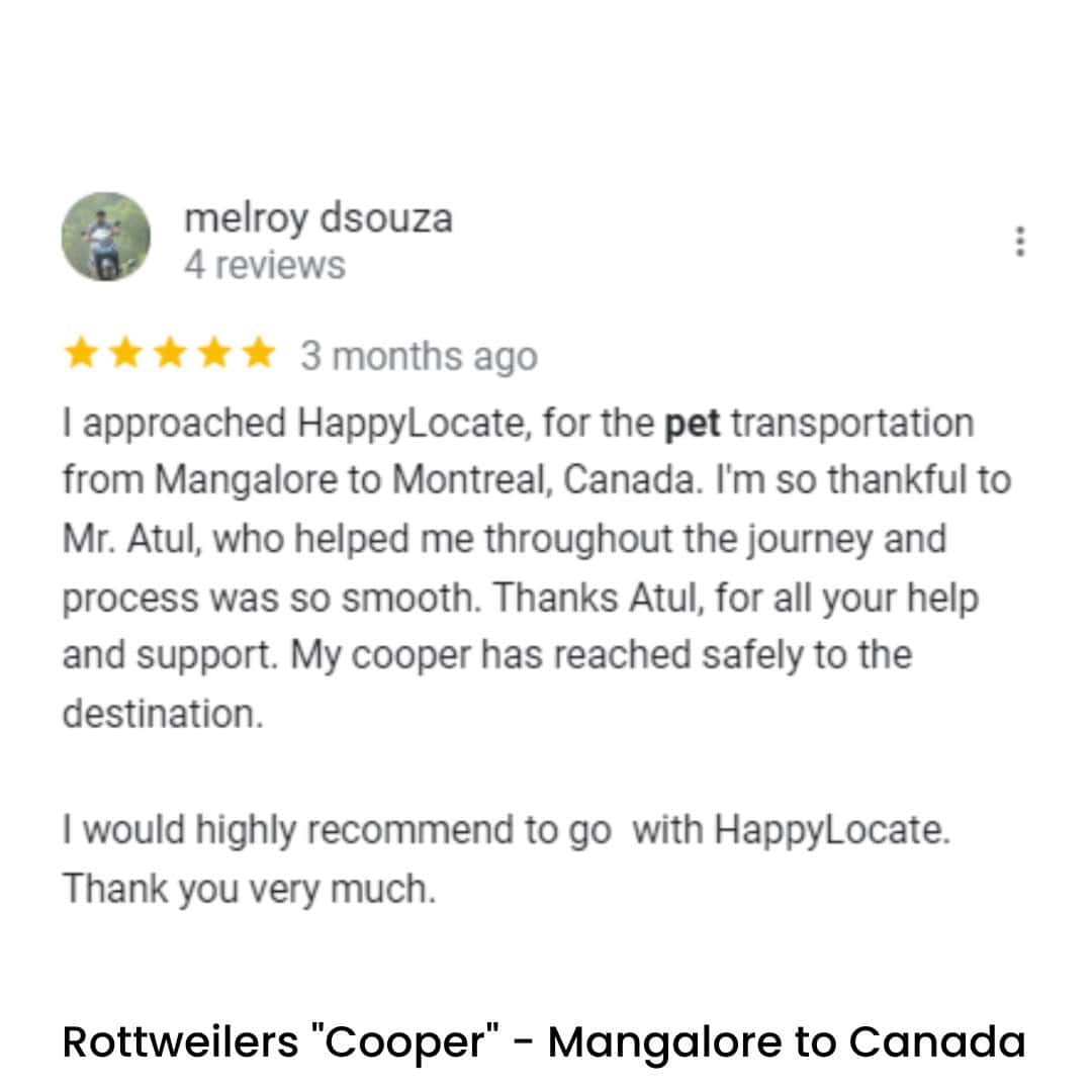 Pet Relocation of Rottweilers "Cooper"-Mangalore to canada