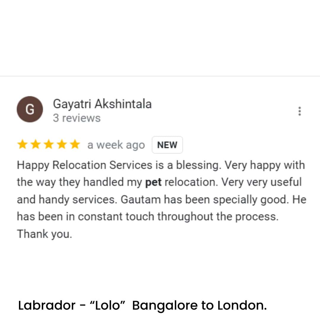 Pet Relocation of Labrador- "Lolo" Bangalore, India to London.