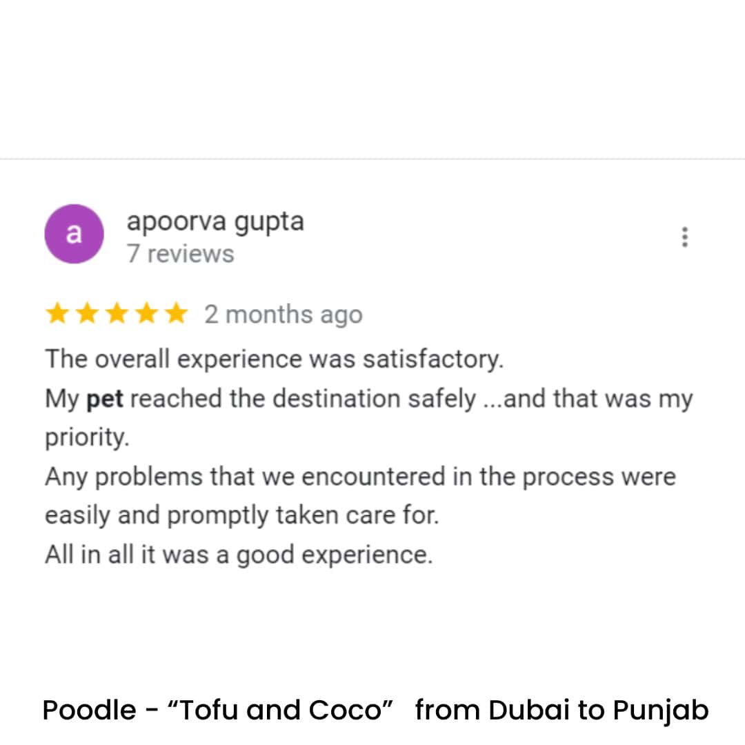 Pet Relocation of Poodle - "Tofu and Coco" from Dubai to Punjab, India