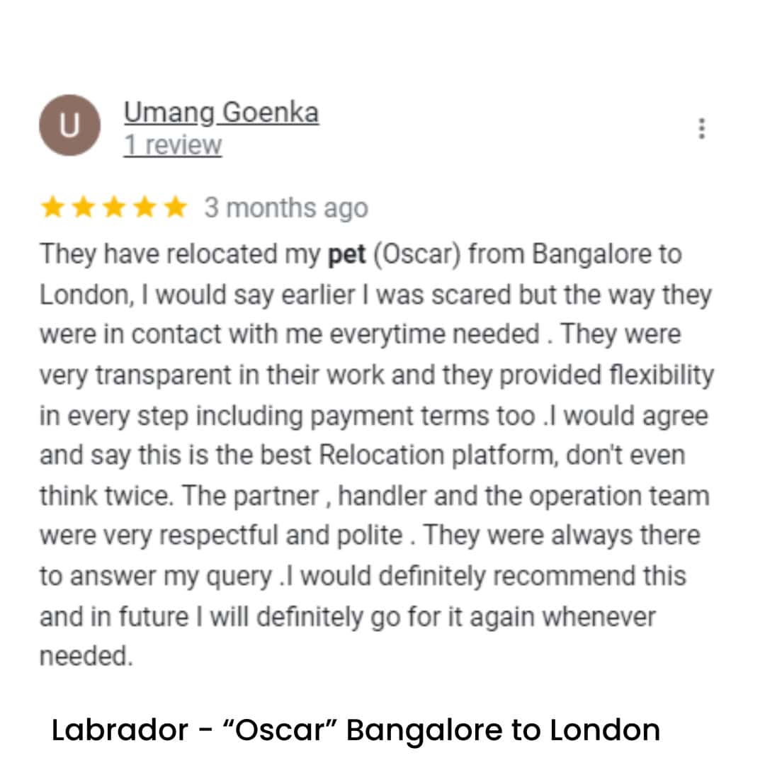 Pet Relocation of Labrador - "Oscar" Bangalore, India to London