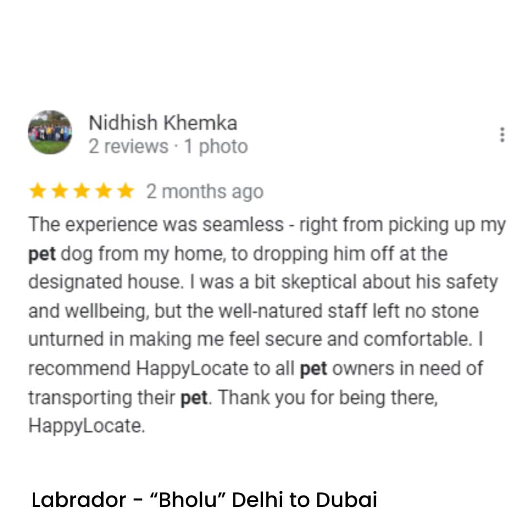Pet Relocation of Labrador - "Bholu" Delhi, India to Dubai