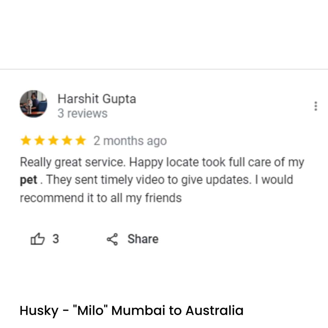 Pet Relocation of Husky - "Milo" Mumbai to Australia