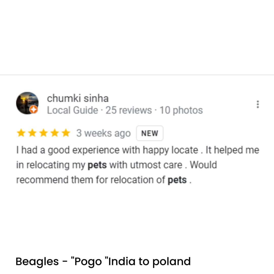 Pet Relocation of Beagles- "Pogo" India to Poland