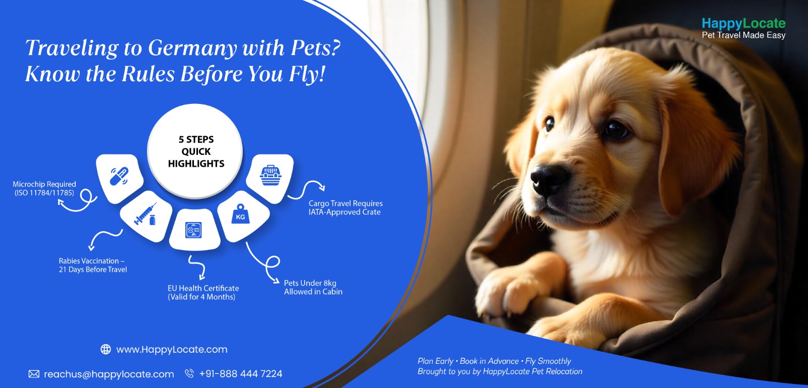 Fly with Pets: Handbook guide for moving to Germany - Hassle Free ...