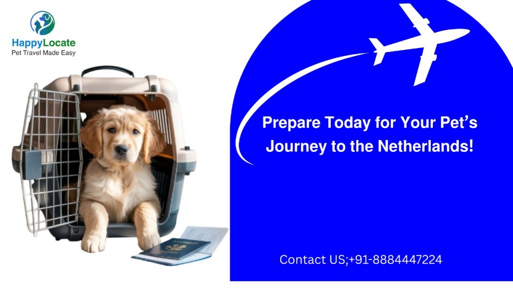 Pet Travel Requirements Netherlands: Complete Convoy