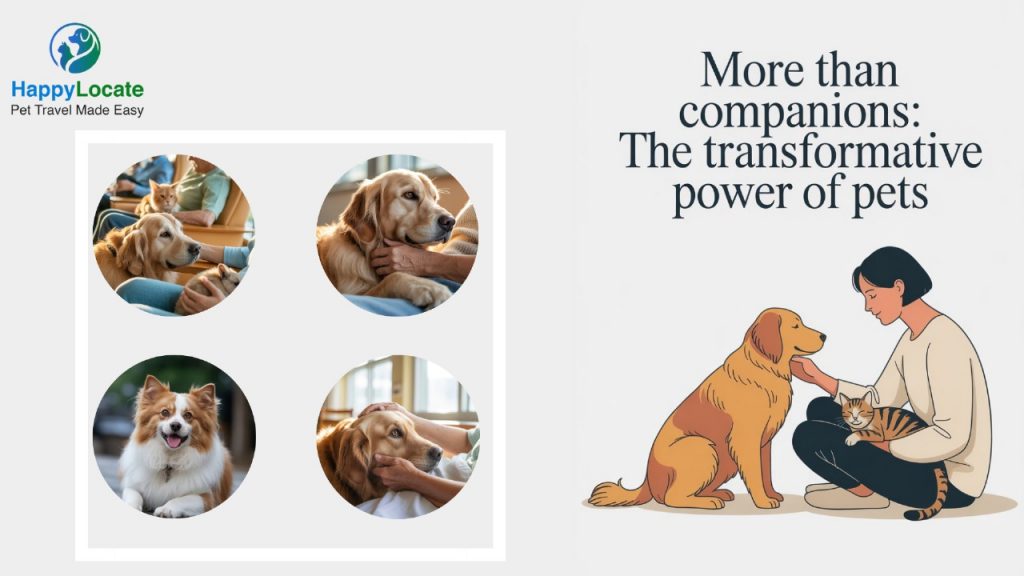Power of Pets: More Than Companions, Truly Transformative
