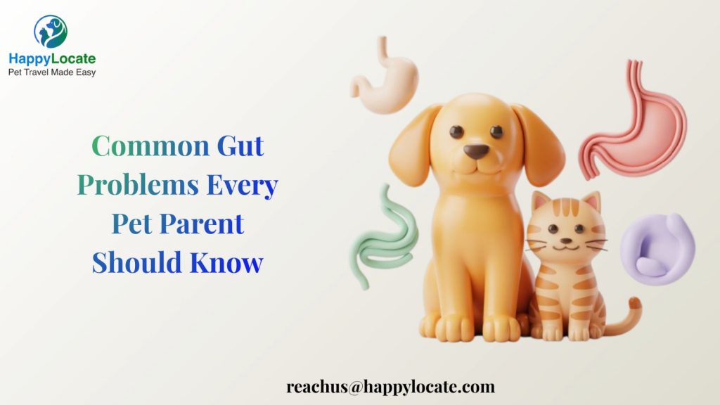 Digestive Issues in Pets You Should Never Ignore