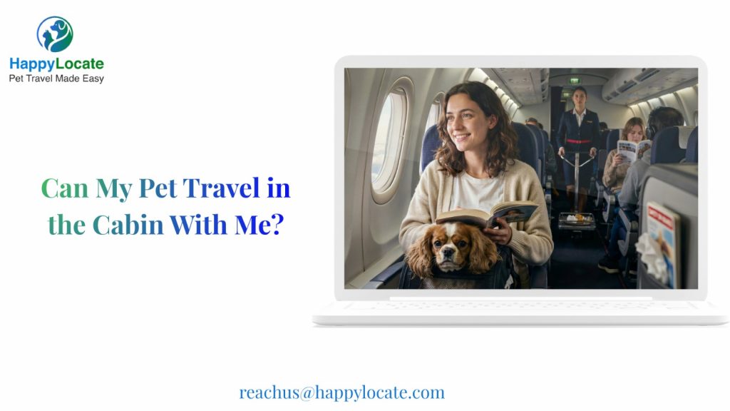 Can My Pet Travel in the Cabin With Me?