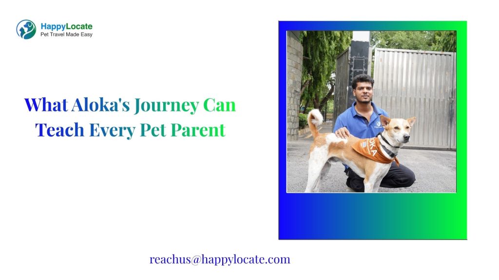 Journey of Aloka the Peace Dog from India to the USA