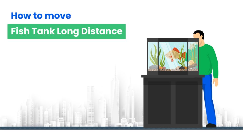 How to move fish tank long distance 01