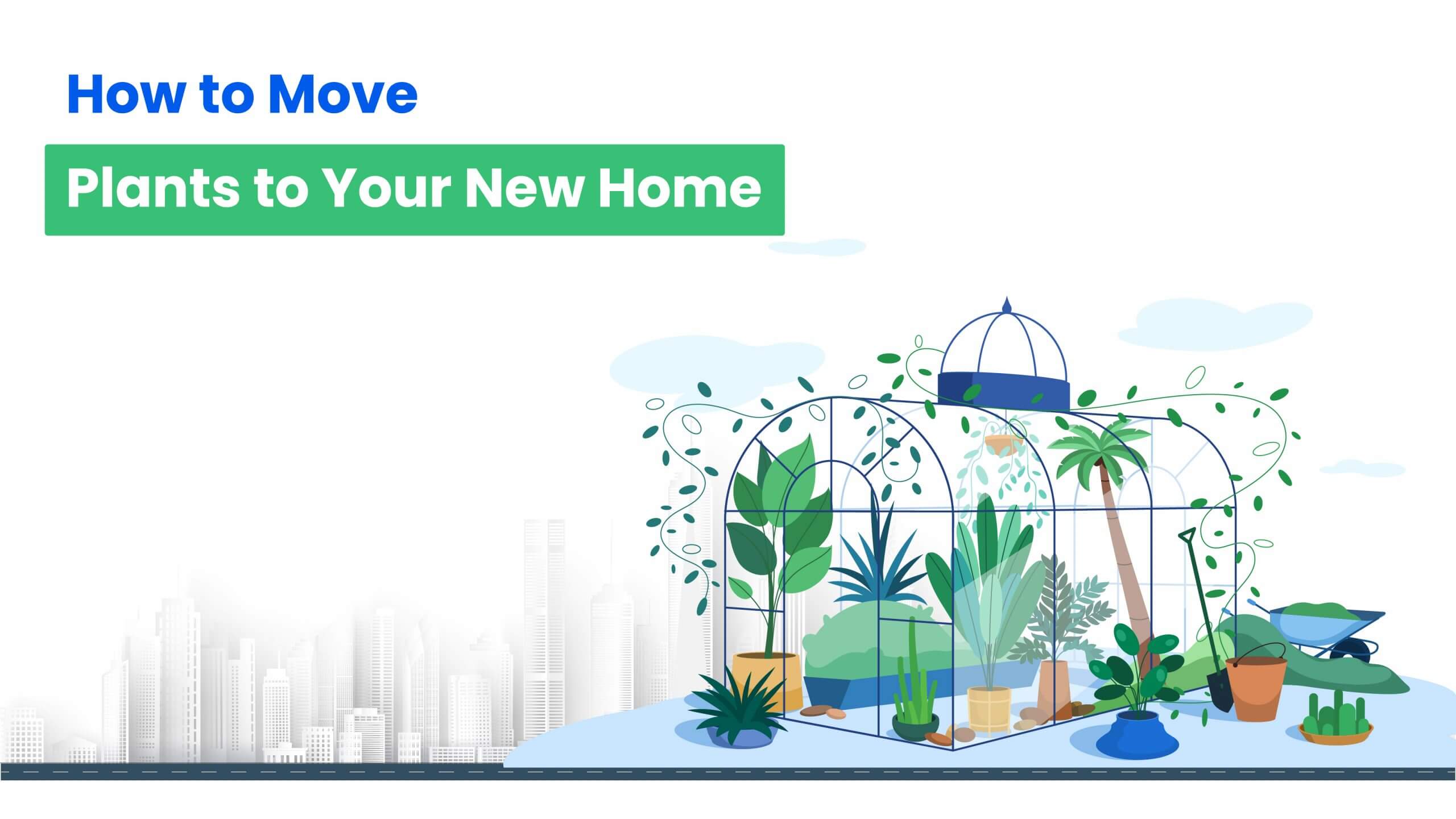 How to move plants to your new home 01