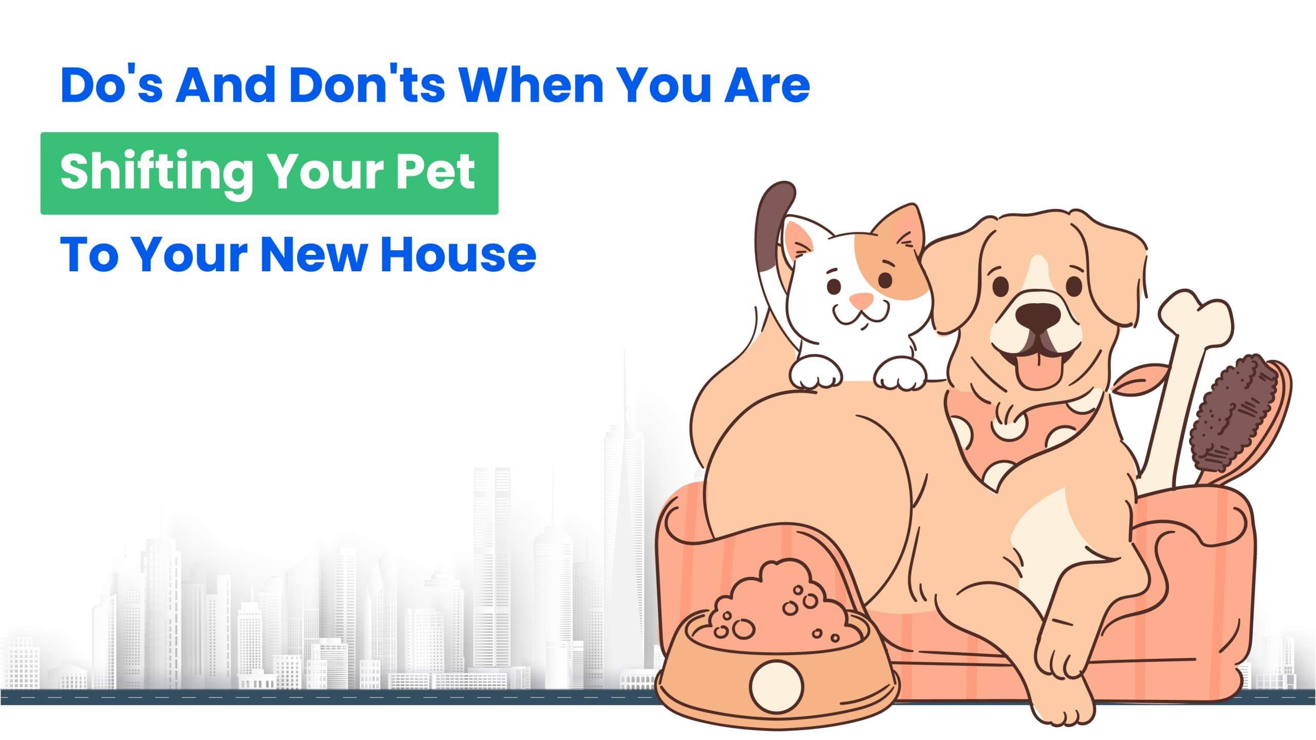 'ts When You Are Shifting Your Pet To Your New House
