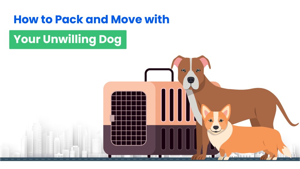 How to Pack and Move with Your Unwilling Dog
