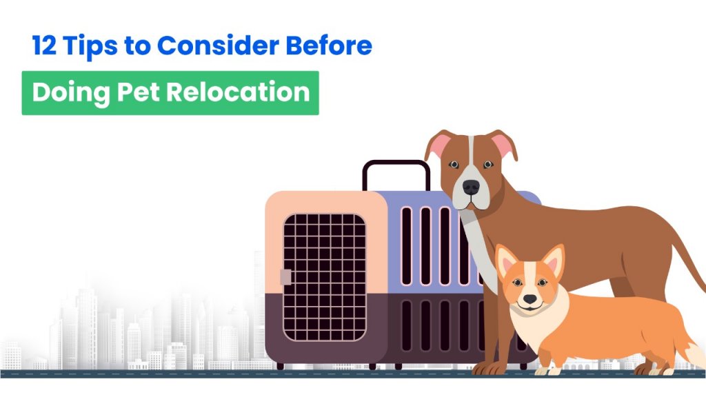 Consider these tips for moving with pets