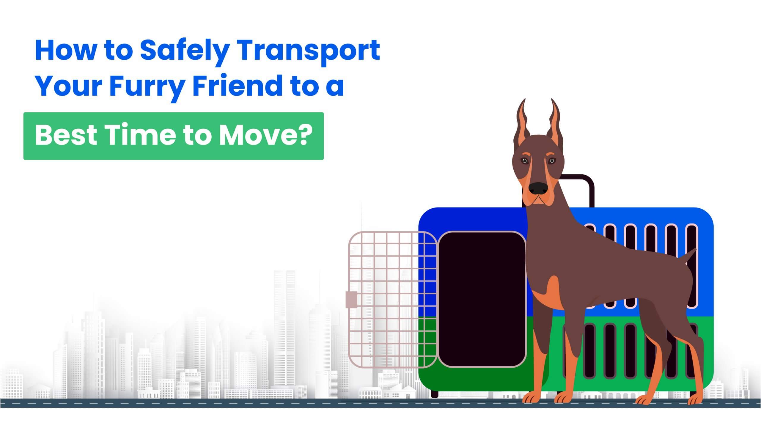 Pet Relocation - How to safely transport your furry friend