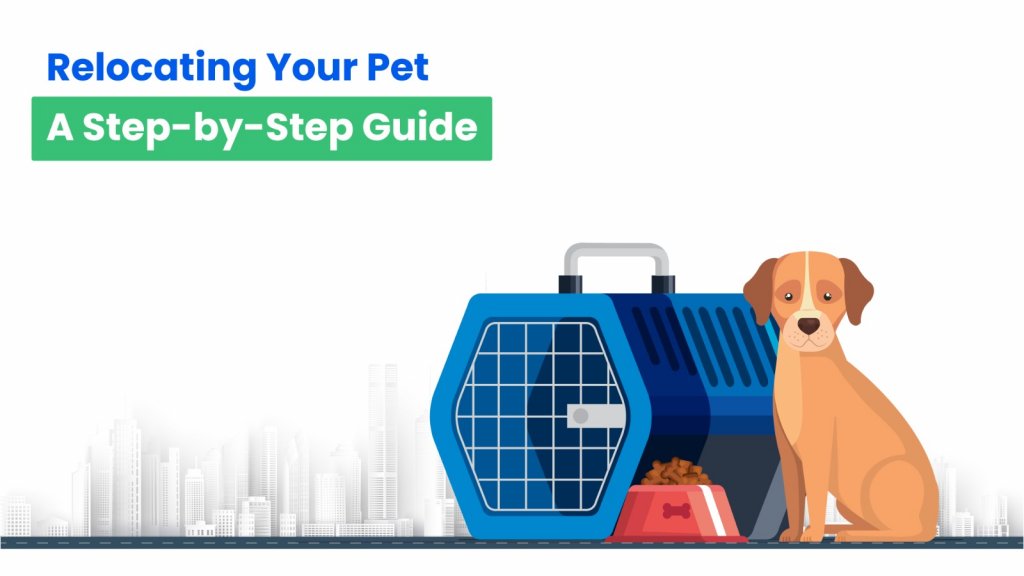 Relocating Your Pet: A Step-by-Step Guide