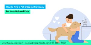 How to Find a Pet Shipping Company For Your Beloved Pets